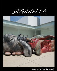 �I���K�l��