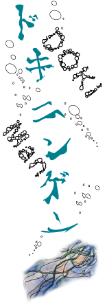 �h�L�j���Q��